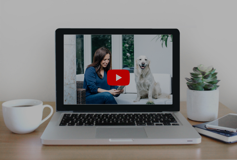 Wie nutze ich Videos für Social Media