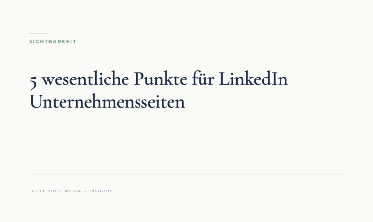Editorial-Cover: 5 wesentliche Punkte für LinkedIn Unternehmensseiten